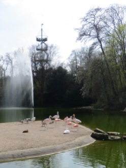 "Are those flamingos?" "Why would there be flamingos in a park in the middle of Germany?" But they are!